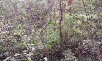 Imagem 3: Sítio dentro de condomínio