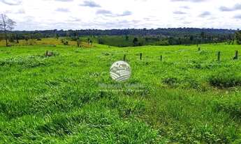 Imagem 6: Venda - Sítio - Vale do Anari - 25 Alqueires Top