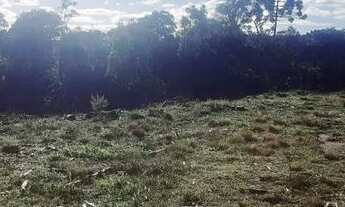 Imagem 2: EVA-EXCELENTE OPORTUNIDADE PARA VOCÊ !