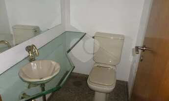 Imagem 5: Pinheiros perto do Colégio St Francis