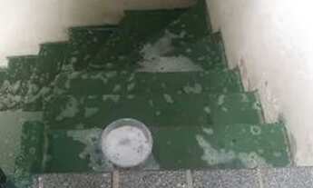 Imagem 5: Casa na liberdade