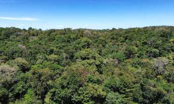 Imagem 5: Terreno Gleba BR-343 Teresina a Altos em Teresina-PI