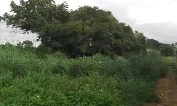 Imagem 3: Terreno no Santa Cecília