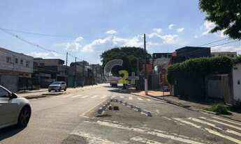 Imagem 4: Terreno residencial para venda na Vila Romana