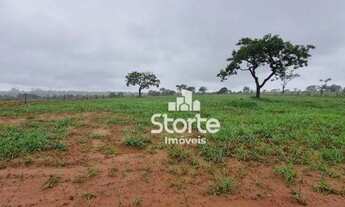 Imagem 3: Chácara à venda, 6.666m² por R$ 300.000 - Uberlândia Sentido Prata - MG