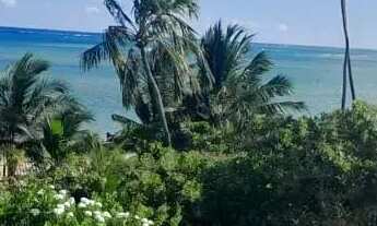 Imagem 3: Imóvel para venda possui 58 metros quadrados com 2 quartos em Peroba - Maragogi - AL