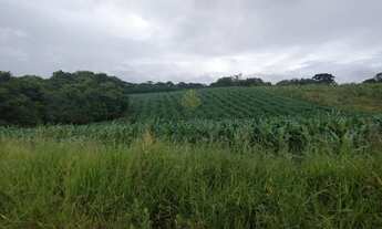 Imagem 3: Chácara à venda, 25.110 m2, Cachoeira - São José dos Pinhais PR