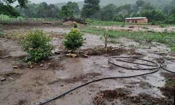 Imagem 3: Chácara 4.000m², à 8km de Jaranápolis-Go, 55 km de Anápolis