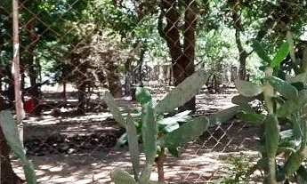 Imagem 6: LINDA CHACARA DE 2400 METROS EM TRAS MARIAS