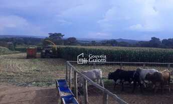 Imagem 7: Chácara em Silvânia-GO 3,2 Alqueires de Terra de Cultura, com Área de Lavoura, Pastagens