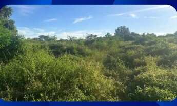 Imagem: GLEBA DE TERRAS - Parte da Área nº 6