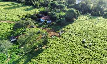 Imagem 6: Fazenda/Sítio/Chácara 7 alqueires,2 em caldas novas toda formada, planta tudo