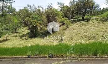 Imagem 6: Terreno à venda no bairro Joaquim Egídio em Campinas