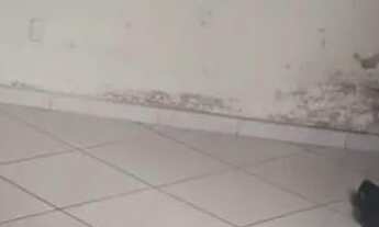 Imagem 4: Bairro Cintra 3 Quartos sendo uma suite...229.998.00