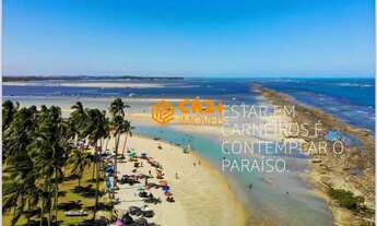 Imagem: Frente Mar dos Seus Sonhos, Rentabilidade