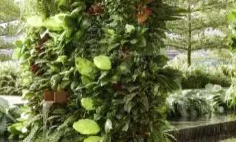 Imagem 3: Apartamento 4 quartos em Praia da Costa