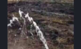 Imagem: WF negócios imobiliários