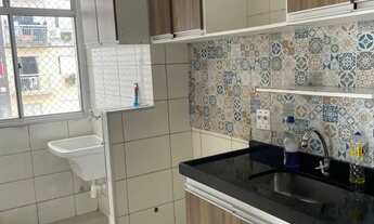 Imagem 6: Fit coqueiro 3/4