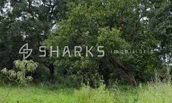 Imagem 3: Lote Parque Maracanã 13.000m²