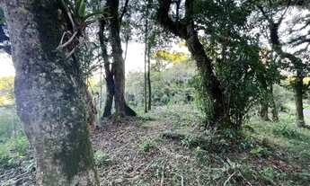Imagem 3: Terreno - Bairro Quinta da Serra