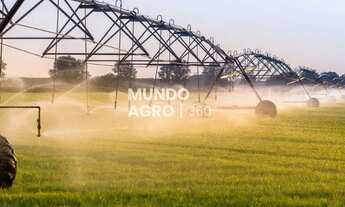 Imagem: 52 Alqueires com pivô 100 regularizada