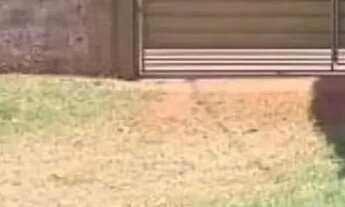 Imagem 6: Casa em excelente localização com 3 quartos sendo 1 suíte no Nova Lima em Campo Grande - M