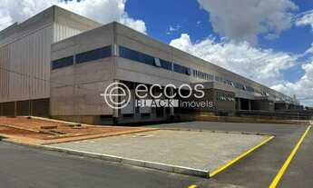 Imagem: Galpão para aluguel, Novo Mundo - Uberlândia/MG