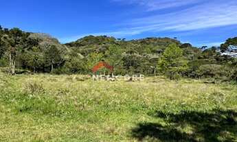 Imagem 2: Chácara em Estrada Josafaz - Contendas - São Francisco de Paula/RS