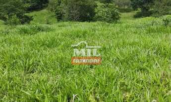 Imagem 6: Chácara 11 Alqueires (53,24 Hectares) Goias Velho - GO