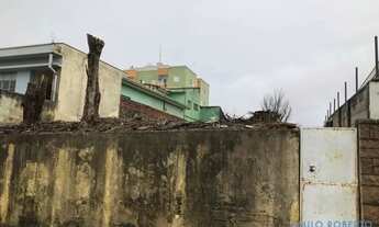 Imagem 7: TERRENO - VILA SONIA - SP