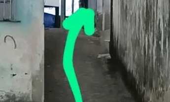 Imagem 3: Vendo casa com terraço, sala, cozinha, 2 quartos e inclui mais 2 kitinets