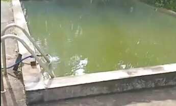 Imagem 4: Ponte Alta Sul, Próximo do Pé de Galinha 20.000m² com córrego R$ 250.000