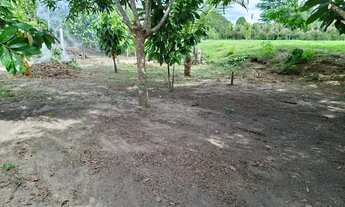 Imagem 5: Terreno No Rio Preto da Eva