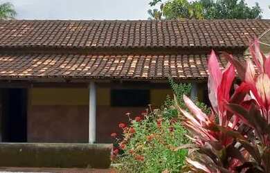 Imagem 2: Vendo sítio Chácara com venda por R$600.000