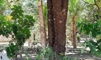 Imagem 7: LINDA CHACARA DE 2400 METROS EM TRAS MARIAS