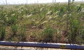 Imagem: Vendo terreno em cravinhos