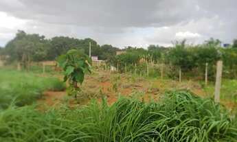 Imagem 4: Lote 360m² no Jardim Tarumã - Energia Elétrica - Bairro em Crescimento!