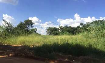 Imagem 3: Terreno Padrão em Bauru