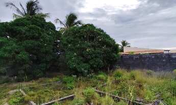 Imagem 5: Terreno a 8min da praia da Caueira