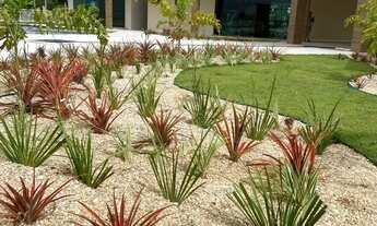 Imagem 4: ECT30TE0590 Imóvel para venda possui 264 metros quadrados em Socopo - Teresina - PI