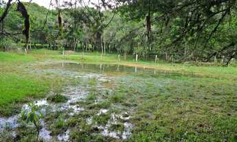 Imagem 4: Chácara à Venda Bairro Campo Novo