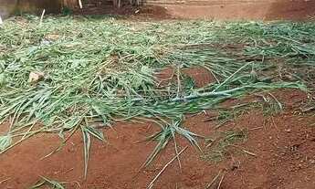 Imagem 5: Ótimo Lote no Bairro Acácias