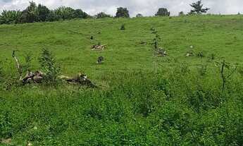 Imagem 2: Sítio de 18 hectares (7,5 alqueires) na região da cidade de Comodoro MT