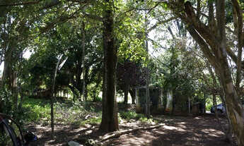 Imagem 3: Lote 10 mil m2- Novo Gama -Jardim Pedregal- metros do centro