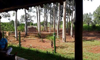 Imagem 5: Sítio com 10.000m² a 27km de Uberlândia