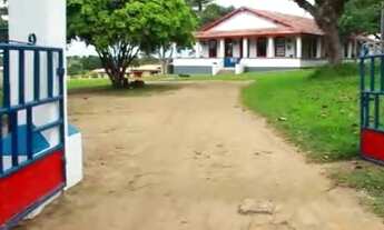 Imagem: Fazenda na Zona Rural de Cruz das Almas