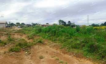 Imagem 6: Excelente Chácara Sem Benfeitorias