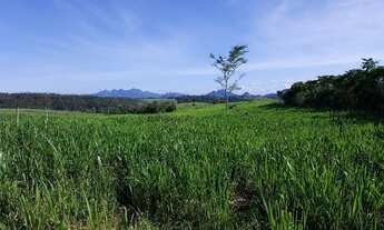 Imagem 5: Sítio em Belvedere