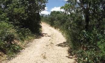 Imagem: Terreno rural 15ha com luz, mata nativa
