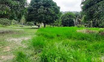 Imagem 3: Vende-se Fazenda no Município de Placas-PA